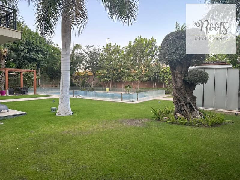 3 WhatsApp Image 2023-07-31 at 12.43. 52. jpeg