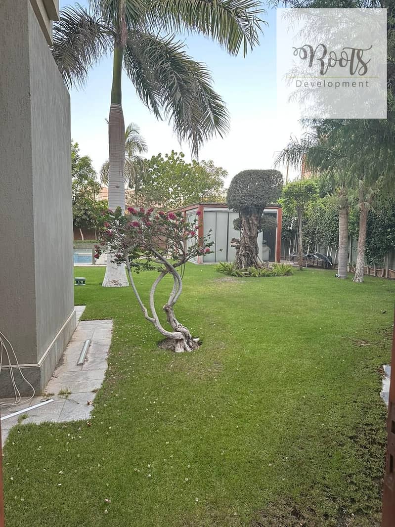 4 WhatsApp Image 2023-07-31 at 12.43. 51 (3). jpeg