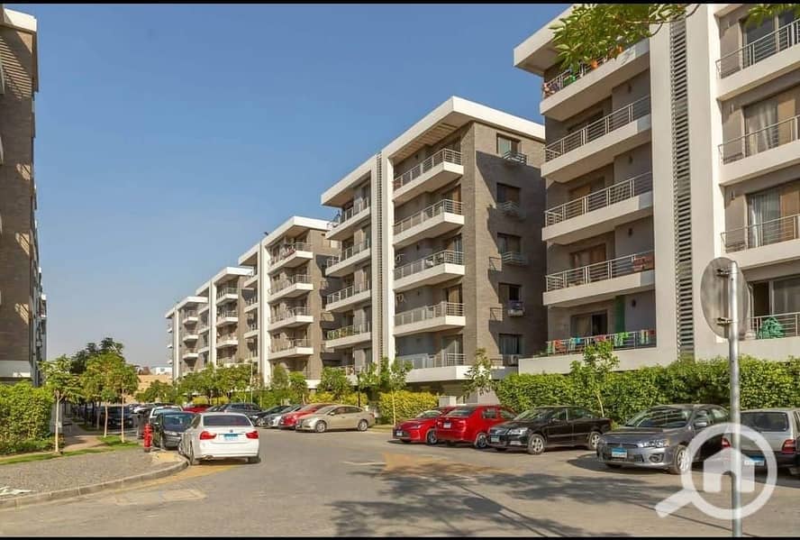 7 557724482_800169439276830_5882282245934526273_n. jpg