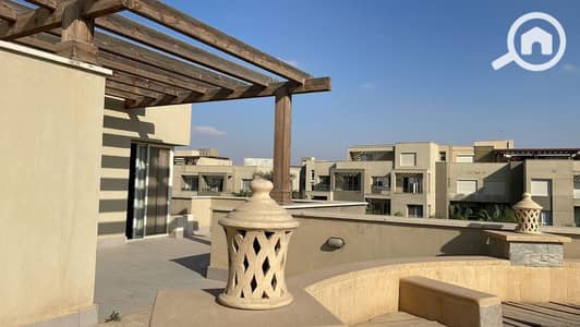 بنتهاوس 3 غرف نوم للايجار في القاهرة الجديدة، القاهرة - WhatsApp Image 2025-11-10 at 4.03. 27 AM. jpeg بنتهاوس 3 غرف نوم للايجار في القاهرة الجديدة، القاهرة - WhatsApp Image 2025-11-10 at 4.03. 27 AM. jpeg