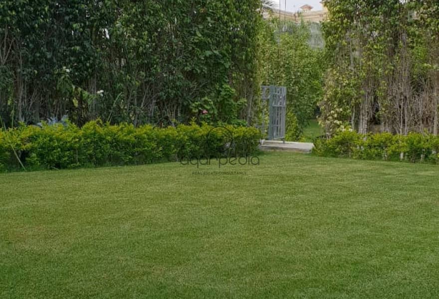 3 24cc901f-f4f9-416b-89ad-8c2ebca70486. jpg