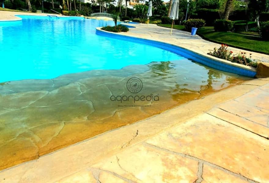 8 b6fbf667-132c-49a0-85e6-7d264eee5646. jpg