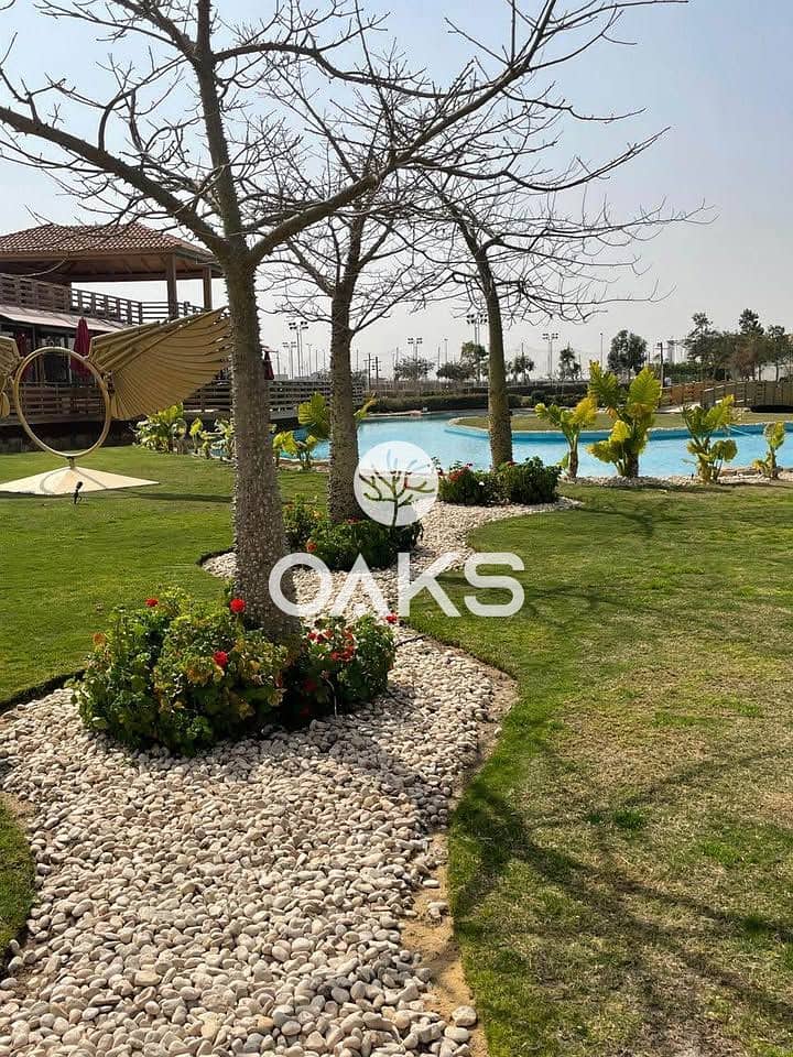 6 516213794_725346953579003_4940179247421753003_n. jpg