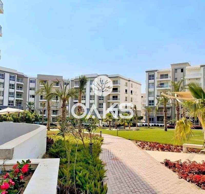 12 568583533_1168460265155689_2617234026182871620_n. jpg