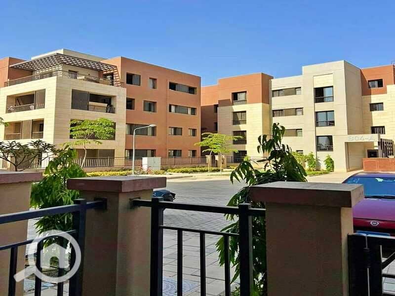 12 432941935_7017857971670622_5238744907105701329_n. jpg