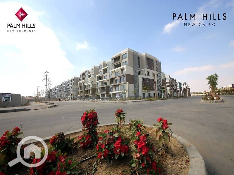 11 14294b60-29a5-4554-bfba-56ee07cb76d5 (1). jpg