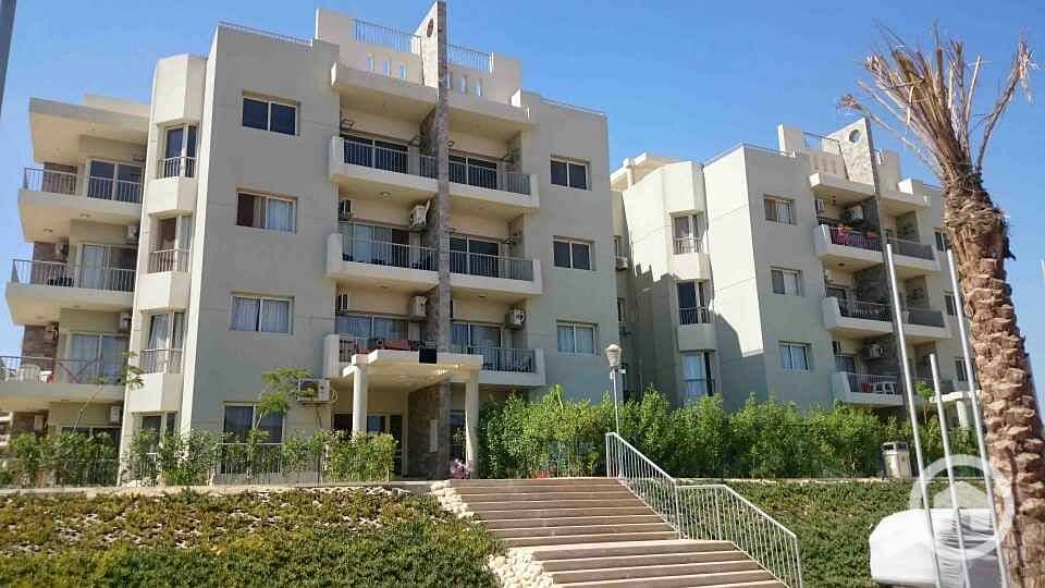 3 DSC_0023_resized_20170424_012957968. JPG