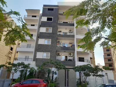 فلیٹ 4 غرف نوم للبيع في القاهرة الجديدة، القاهرة - WhatsApp Image 2025-11-11 at 15.20. 50_14768f99. jpg