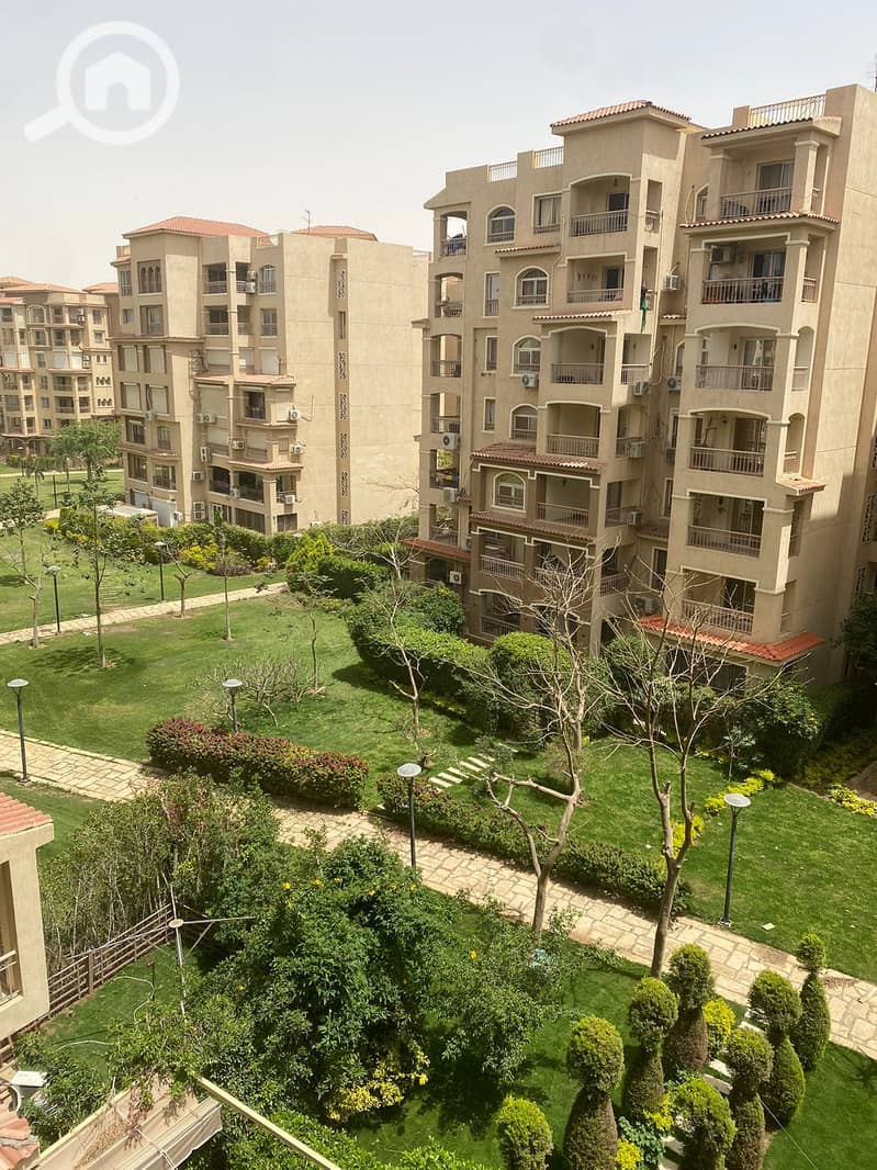 IMG-20251110-WA0360. jpg IMG-20251110-WA0360. jpg