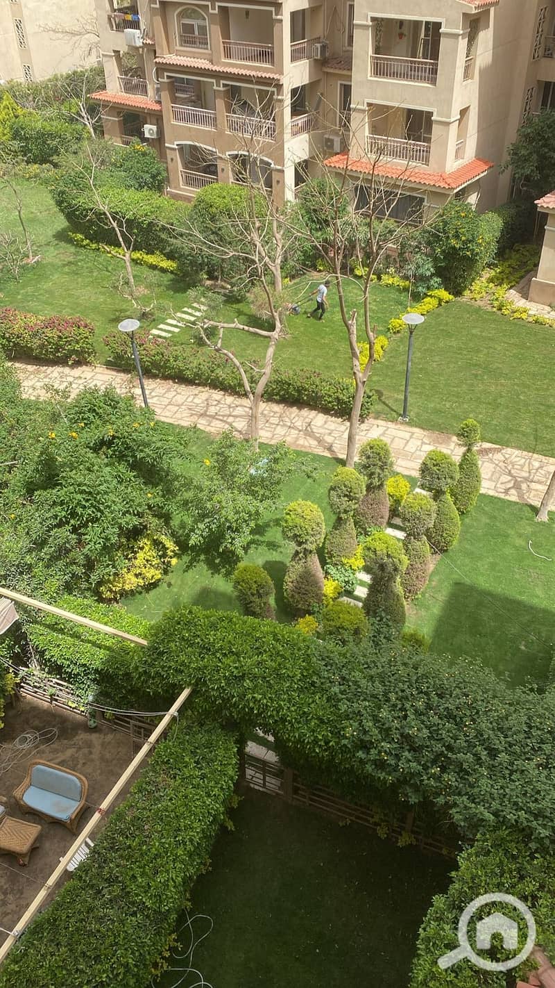 2 IMG-20251110-WA0362. jpg