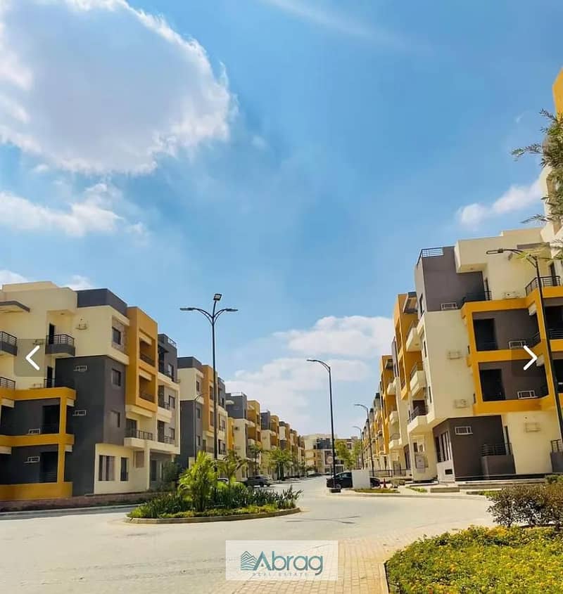 3 WhatsApp Image 2025-11-11 at 15.52. 35_feb0fe72. jpg