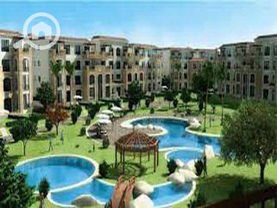 4 908c661a-784e-11ef-b4da-dac444b7180f. jpeg