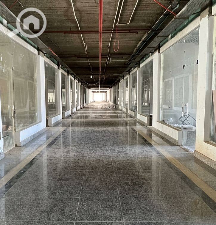 7 Generated Image September 15, 2025 - 2_26PM. png