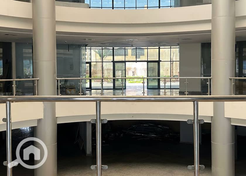 8 Generated Image September 23, 2025 - 1_55PM. png