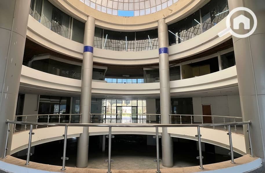 7 Generated Image September 23, 2025 - 2_06PM. png