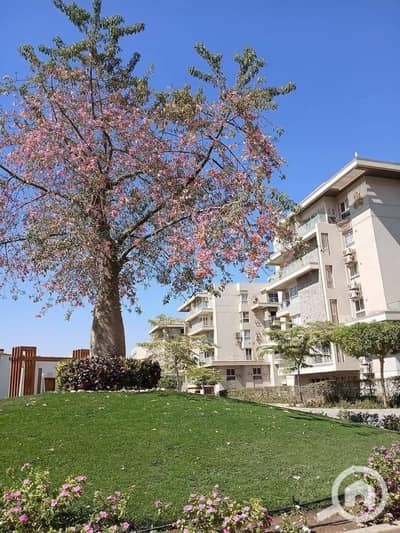 3 Bedroom Penthouse for Sale in New Cairo, Cairo - WhatsApp Image 2025-09-03 at 2.58. 50 AM. jpeg