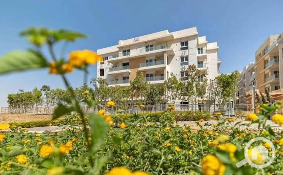 5 WhatsApp Image 2025-07-23 at 4.07. 18 AM. jpeg