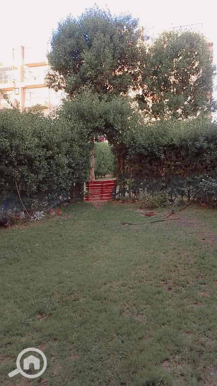 10 dc7ea28e-1e26-453e-a564-90f04275957d. jpg