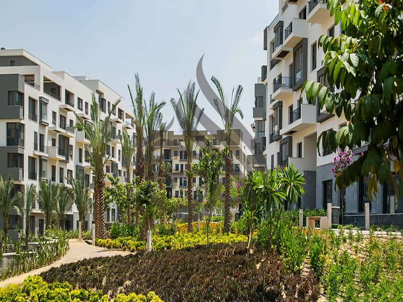 5 renditionDownload. jpg