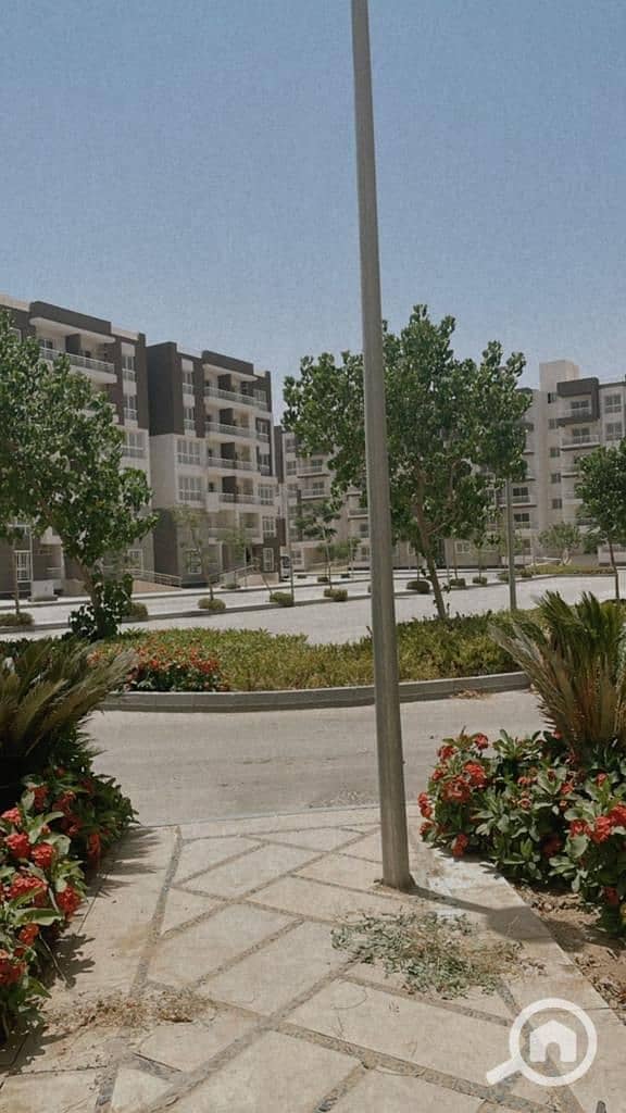 3 WhatsApp Image 2025-11-11 at 3.16. 08 PM. jpeg