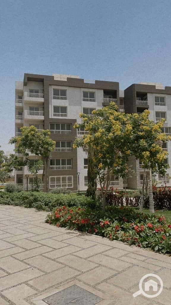 5 WhatsApp Image 2025-11-11 at 3.16. 08 PM (2). jpeg