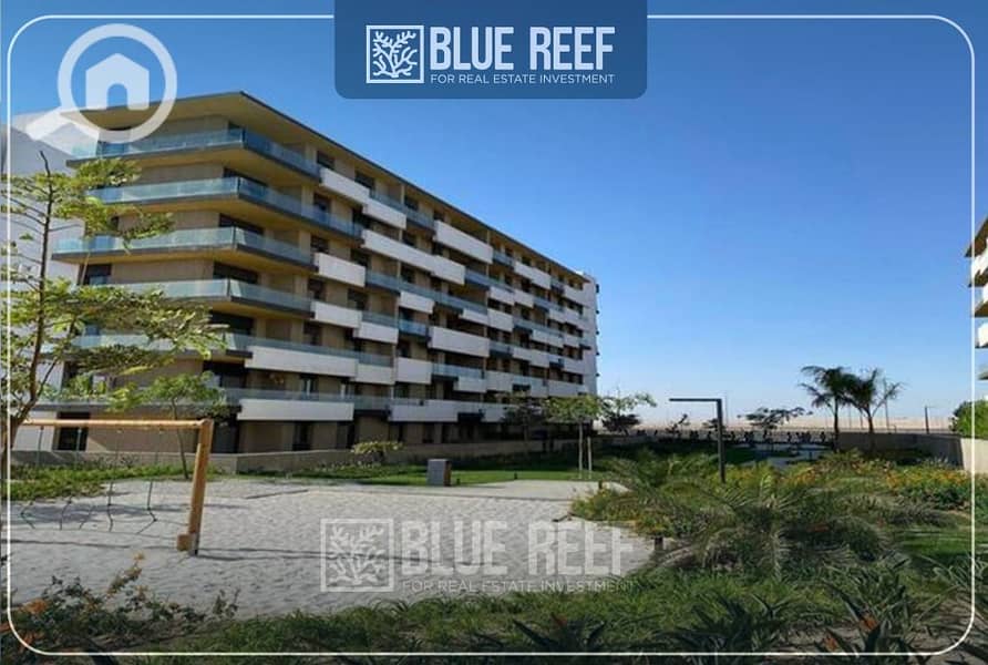 6 WhatsApp Image 2025-11-05 at 12.36. 44 PM (3). jpeg