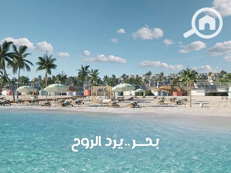 7 0542d570-6119-48bb-b71b-c1d5db5c8cca. jpg