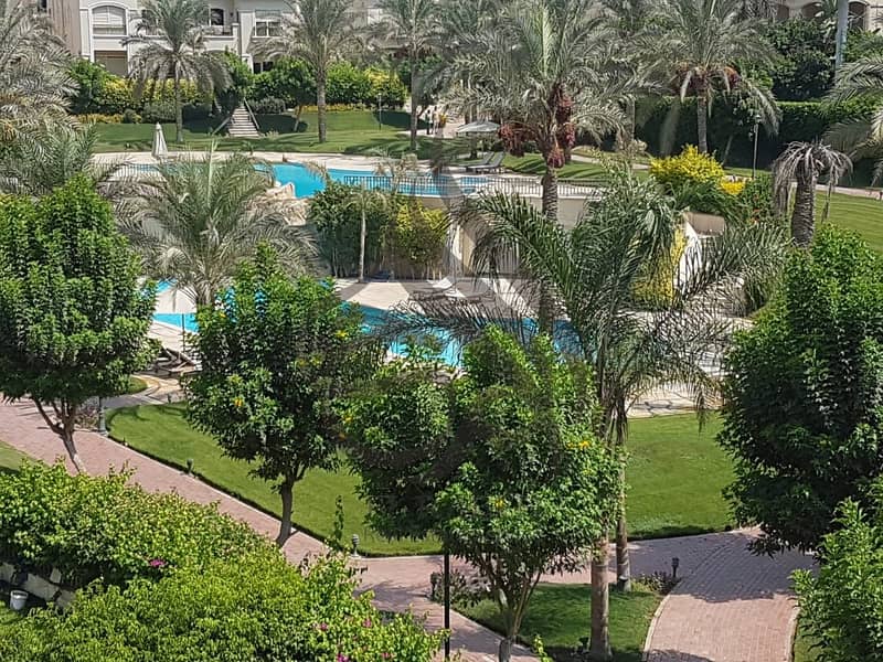 6 WhatsApp Image 2025-11-10 at 1.52. 52 AM. jpeg