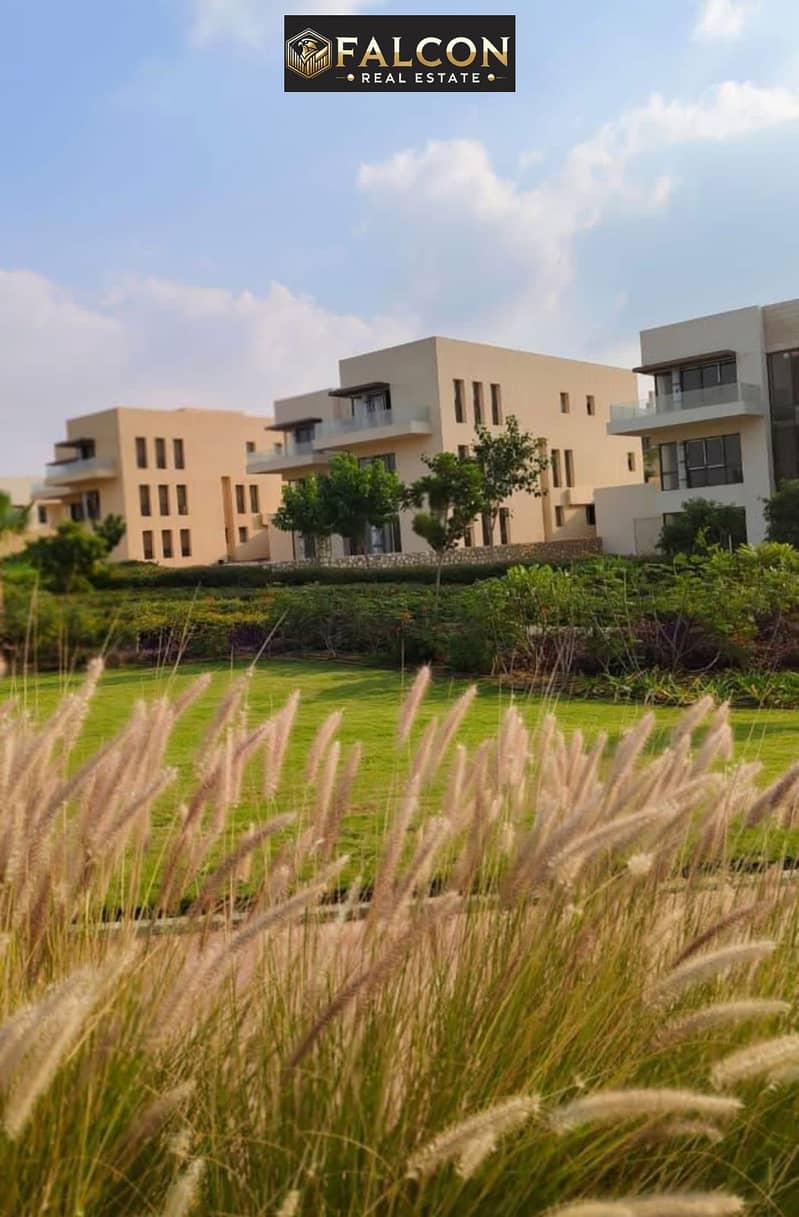 4 de559e11-69f5-41cd-b881-d5c82d3188e4. jpg