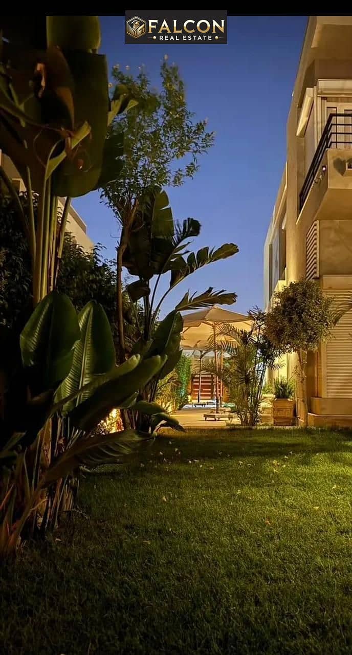 7 81a6b897-0a43-4ca6-8ae3-0c2cefdd2817. jpeg