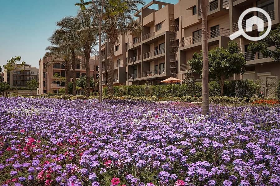 8 WhatsApp Image 2025-11-08 at 09.36. 35_15e53951. jpg