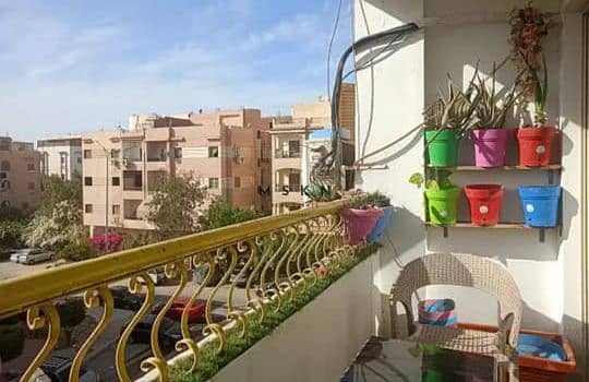 3 photo_2025-11-11 17.00. 03. jpeg