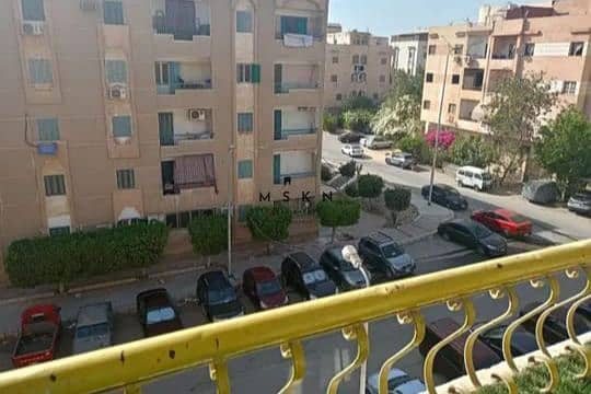 12 photo_2025-11-11 16.59. 53. jpeg