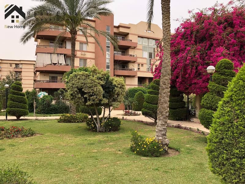 15 IMG-20250910-WA0095. jpg