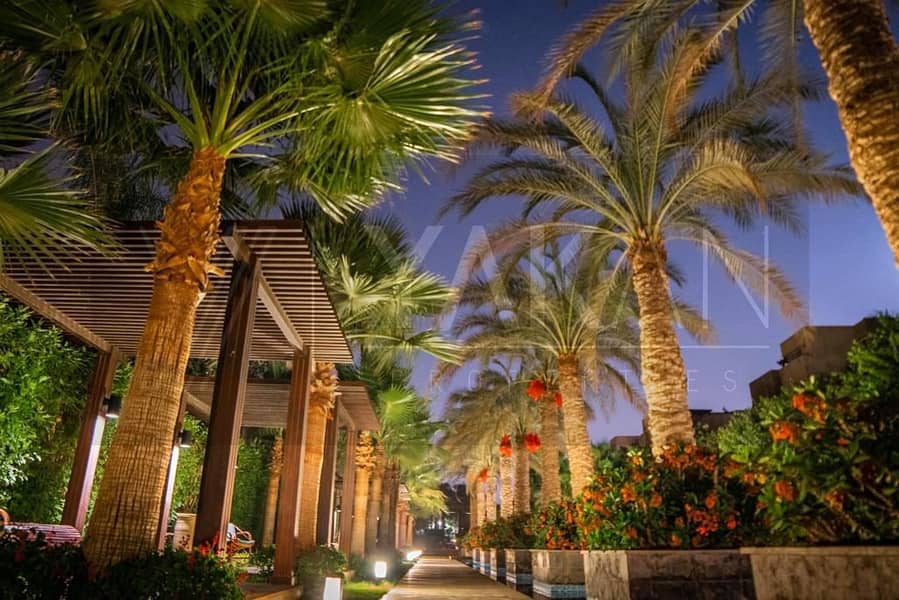 6 WhatsApp Image 2025-11-11 at 16.59. 37 (1). jpeg