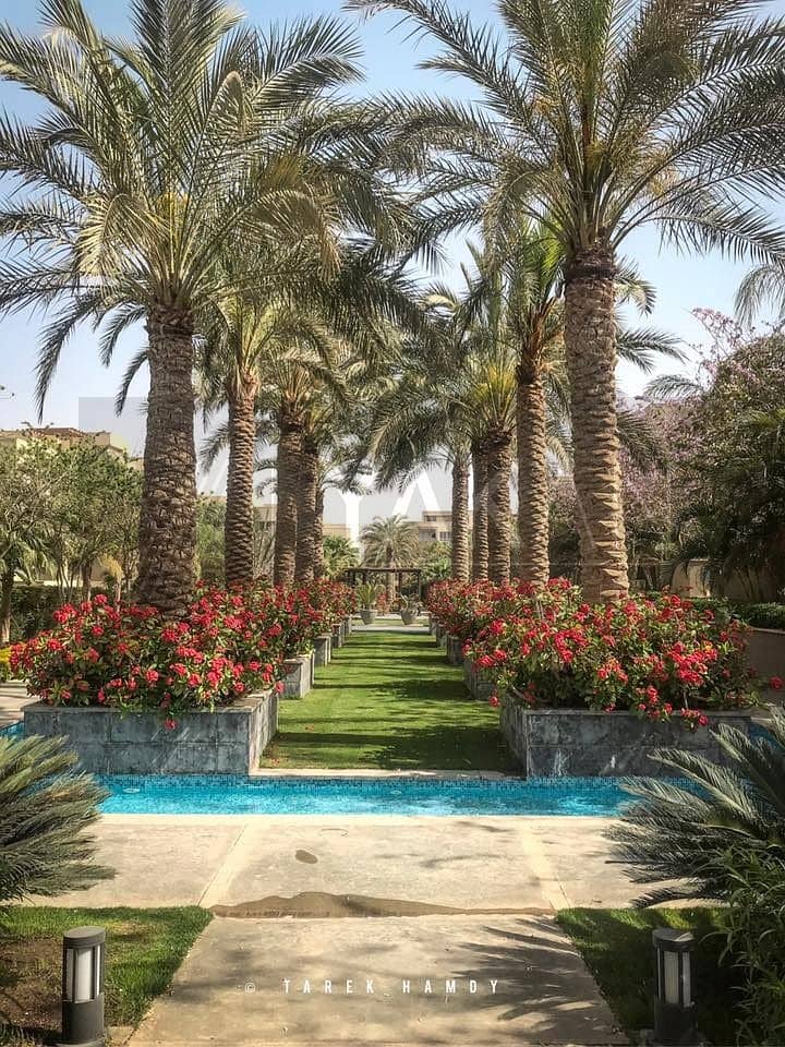 8 WhatsApp Image 2025-11-11 at 16.59. 39. jpeg