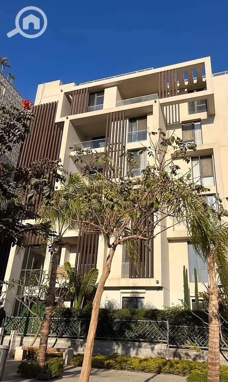 6 545143555_599316153261980_8697967355575068741_n. jpg