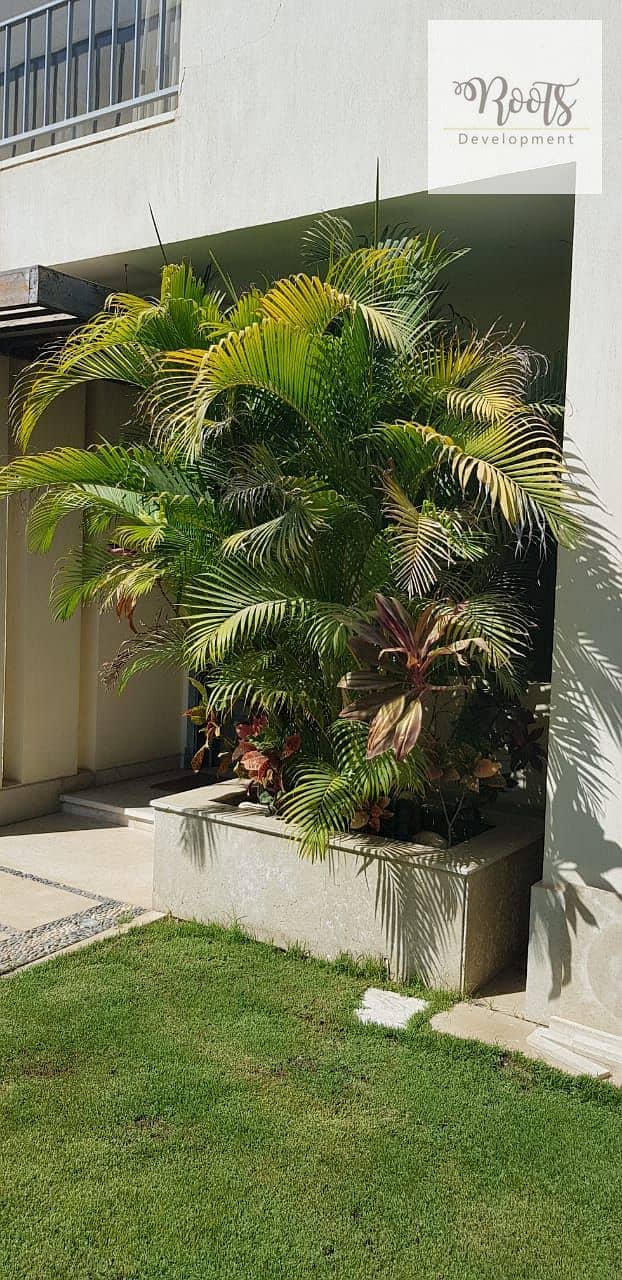 4 WhatsApp Image 2022-01-31 at 1.14. 07 PM. jpeg