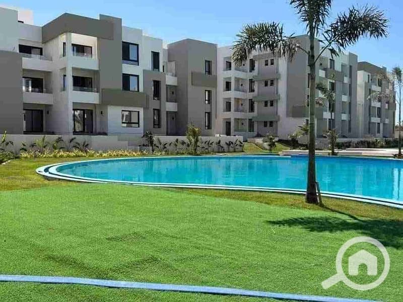 1000236717. jpg 1000236717. jpg