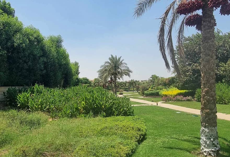 3 016ab902-bcc1-428d-a68d-703c02904f32. jpg