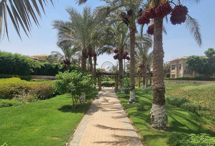 4 ade903c7-5b4a-400f-9713-c671f955c86a. jpg