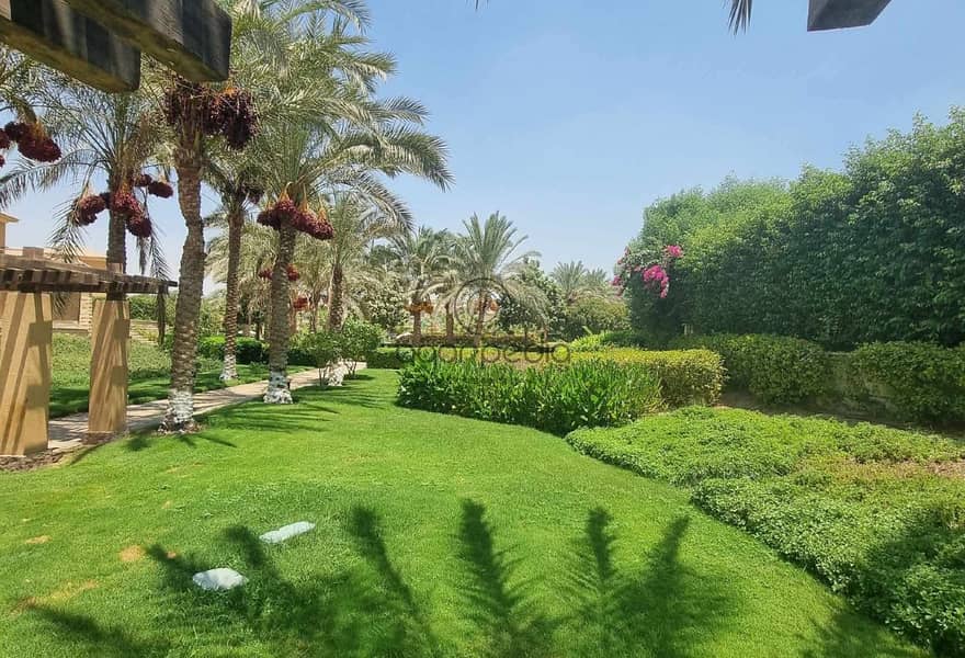 5 ba0d6057-5f5d-4388-8272-55ce13202523. jpg