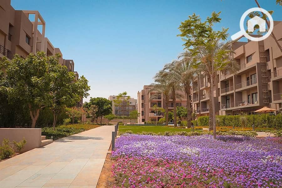 13 WhatsApp Image 2025-11-08 at 09.36. 35_baddb616. jpg