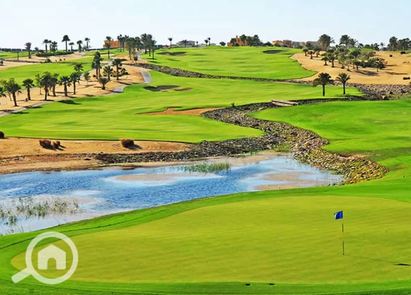 8 d8b815aa-eca9-4de6-a845-5d42530fd69c. jpg