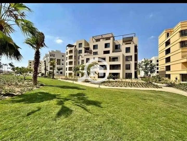 3 WhatsApp Image 2025-11-11 at 17.25. 12. jpeg