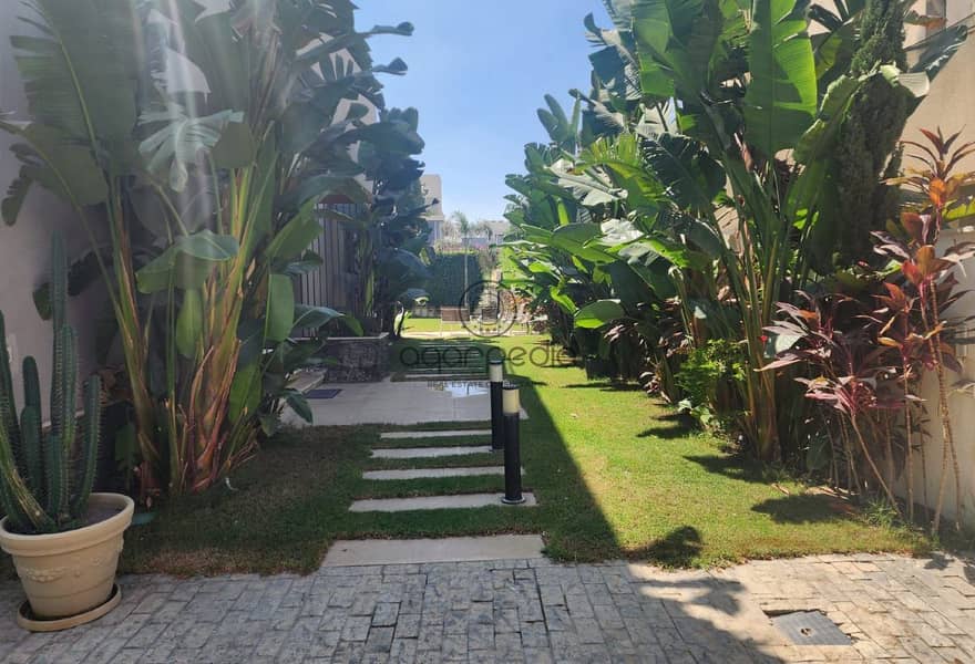 6 7f7453da-8f1d-49dc-aada-4925c43e2a9e. jpg