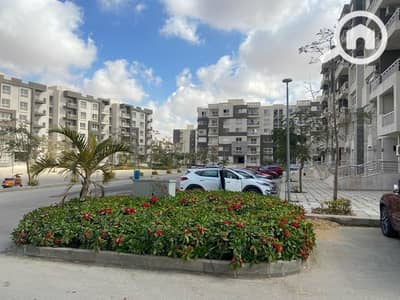 3 Bedroom Flat for Rent in Madinaty, Cairo - WhatsApp Image 2024-03-17 at 1.57. 12 PM (2). jpeg 3 Bedroom Flat for Rent in Madinaty, Cairo - WhatsApp Image 2024-03-17 at 1.57. 12 PM (2). jpeg