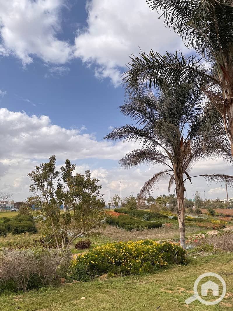 9 WhatsApp Image 2025-03-10 at 12.34. 45 PM(2). jpeg