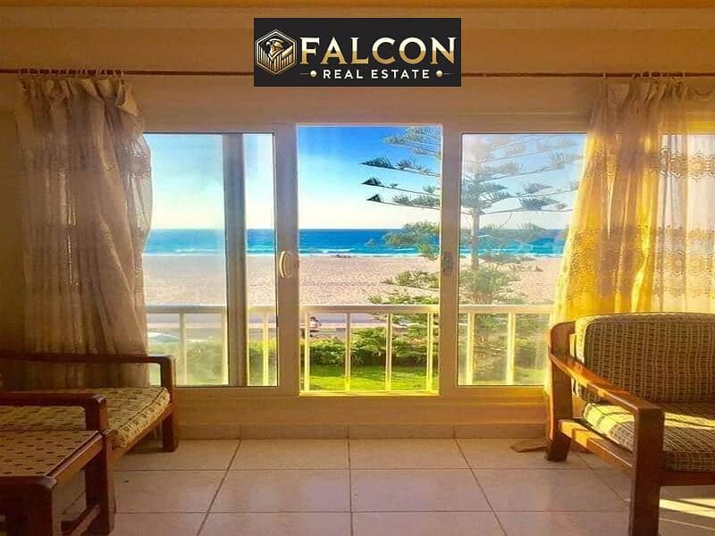 3 5983291285219427685. jpg