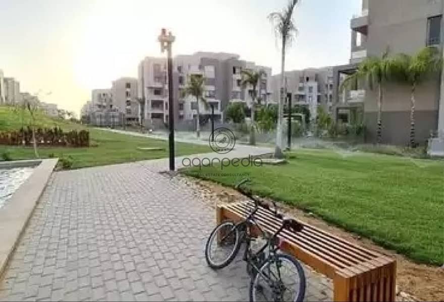 3 08af5659-5ab5-4bfa-83cd-9b2f68e1389a. jpg